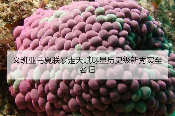 wen-ban-ya-ma-xia-lian-bao-zou-tian-fu-jin-xian-li-shi-ji-xin-xiu-shi-zhi-ming-gui-2-124.jpg