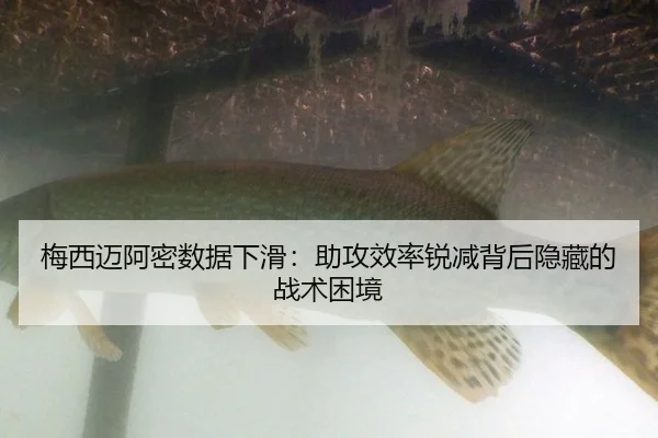 mei-xi-mai-a-mi-shu-ju-xia-hua-zhu-gong-xiao-lv-rui-jian-bei-hou-yin-cang-de-zhan-shu-kun-jing-3-656.jpg