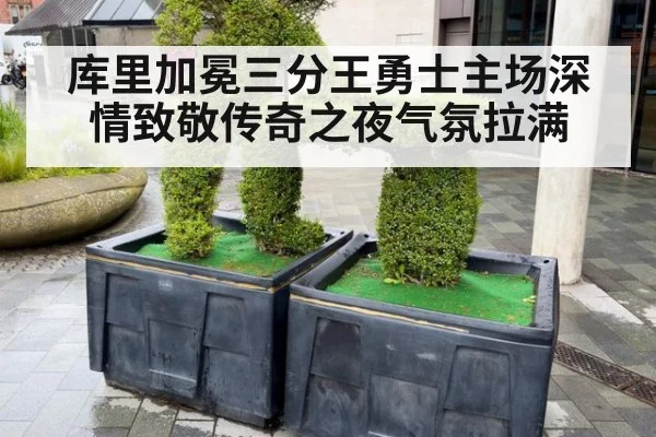 库里加冕三分王勇士主场深情致敬传奇之夜气氛拉满